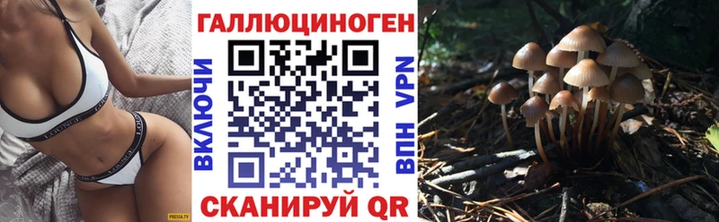 Купить  Кириллов  Галлюциногенные грибы Magic Shrooms 